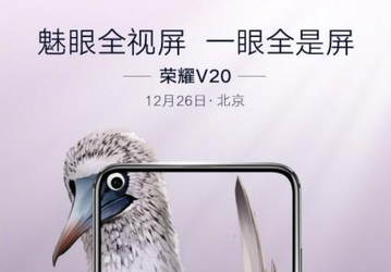 Honor изящно обыграла дырявый экран смартфона Honor View 20 при помощи... экзотических птиц