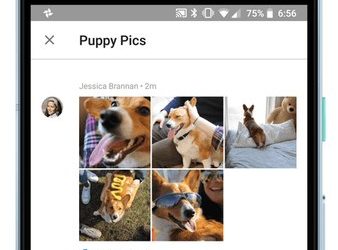 В Google Photos появятся папка «избранное» и возможность лайкать чужие фотографии