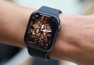 После презентации умных часов Apple Watch Series 4 акции Fitbit упали в цене, а акции Garmin подорожали