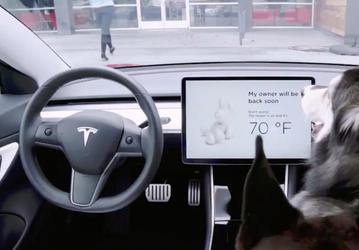 По просьбам пользователей: Tesla добавила своим автомобилям «Собачий режим»