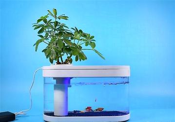 Представлен необычный аквариум Xiaomi Fish Tank