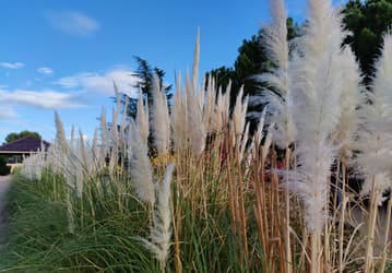108-мегапиксельная мощь Xiaomi Mi Note 10. Фотографии, сделанные новинкой, в полном разрешении