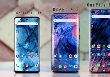 Все три модели OnePlus 8 на одном изображении
