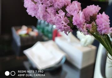 Президент Xiaomi хвалит камеру Redmi Note 7 Pro. Опубликован новый снимок
