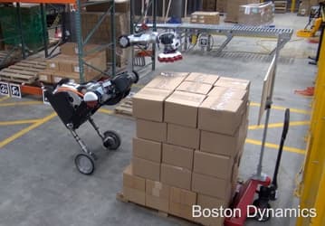 Видео дня: птице-робот Boston Dynamics с клювом-присоской ловко орудует коробками на складе