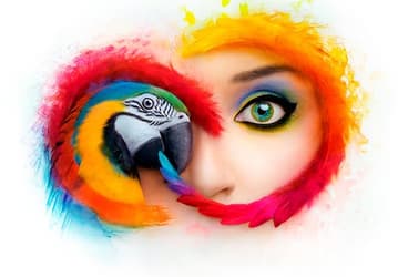 В Adobe CC больше недоступны старые версии Photoshop и Lightroom