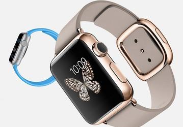 Компания LG Display в течение многих лет несла убытки, выпуская панели OLED для Apple Watch