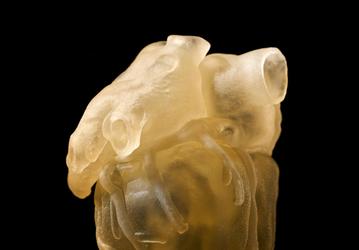 3D-принтер Stratasys J750 Digital Anatomy предназначен для применения в медицине