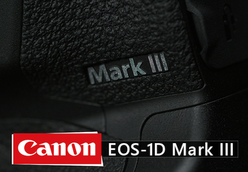 Стали известны многие спецификации зеркальной фотокамеры Canon EOS 1D X Mark III
