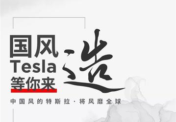 Tesla сделает электромобиль специально для Китая