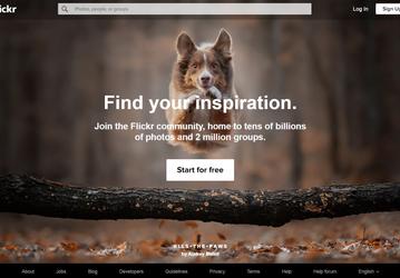 Годовая подписка на сервис Flickr Pro подорожала на 20%