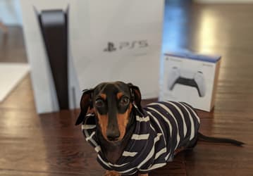 Sony исправила проблему с загрузкой игр PlayStation 5