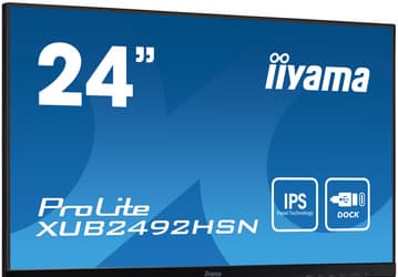 Оснащение монитора iiyama ProLite XUB2492HSN-B1 включает док-станцию