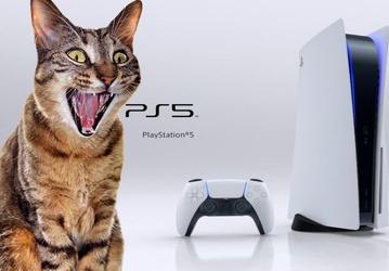 Некоторым покупателям Sony PlayStation 5 в Великобритании вместо приставки привозят кошачий корм, посуду и много чего ещё