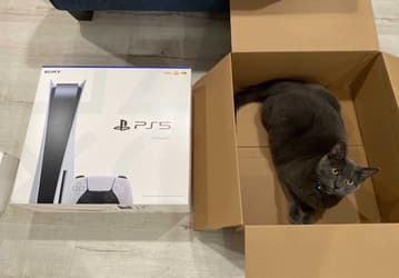 Перед покупателями Sony PlayStation 5, получившими кошачий корм вместо приставки, извинились