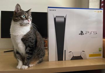 Ваша Sony PlayStation 5, вероятно, установлена вверх ногами