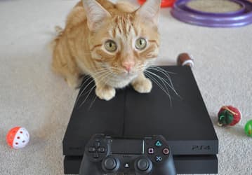 Sony обновила PlayStation 4 и там не только повышение стабильности