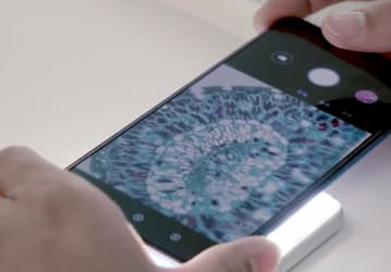 Redmi K30 Pro превратили в микроскоп. Это сделала сама Redmi 