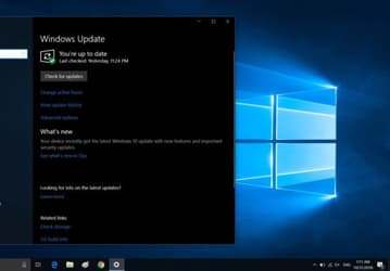 Microsoft просит правильно жаловаться на «катастрофическое» обновление Windows 10. Проблемы изучаются