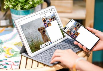 Топовая платформа за 330 долларов. Стартовали продажи Huawei MatePad 10.8 
