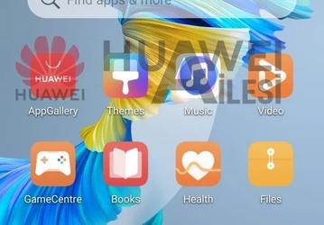 Необычное разрешение экрана Huawei Mate 40 Pro подтверждено. Скриншоты также подтверждают и другие параметры