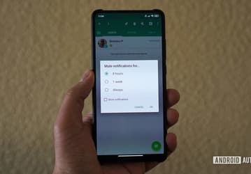 Долгожданное новшество WhatsApp. Чат можно заставить замолчать навсегда