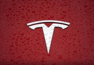 В этом месяце начнутся поставки электромобилей Tesla Model Y китайского производства 