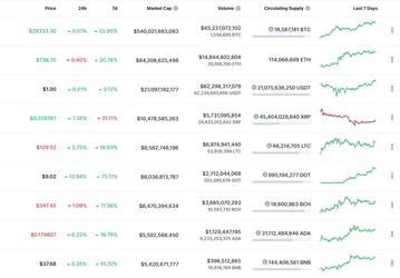 Bitcoin отметил Новый год подорожанием до 29 000 долларов