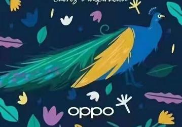 В середине декабря Oppo представит складной смартфон с 8-дюймовым экраном, а в начале следующего года – флагман на Snapdragon 898