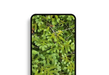 «Поверьте, когда вы увидите Galaxy S22 спереди, смартфон понравится вам ещё больше», — Ice Universe показал новые рендеры смартфона