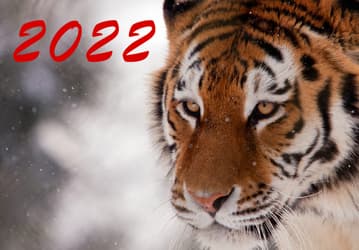 С Новым, 2022 годом!