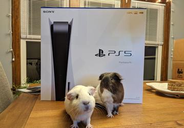 Sony запускает первую программу бета-тестирования PlayStation 5