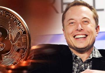 Илон Маск не вошёл в Совет майнеров Bitcoin, созданный фактически с его подачи