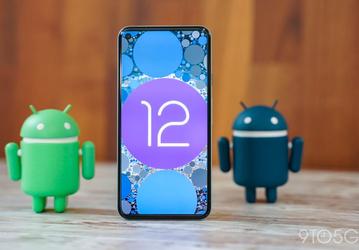 Теперь без котиков и игр: «пасхалка» Android 12 демонстрирует динамическую смену цветовой схемы