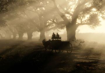 Nvidia DLSS снова в деле. Red Dead Redemption 2 в 4K доступна даже для GeForce RTX 2060