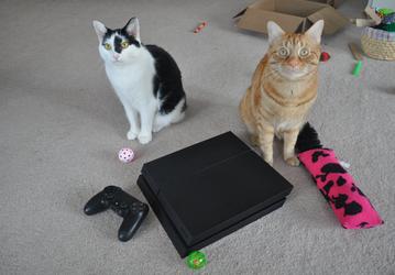 Sony обновила PlayStation 4, и это не исправление ошибок