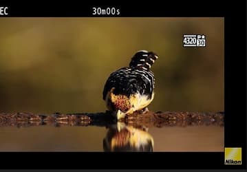 Опубликовано второе видео Nikon о камере Z9