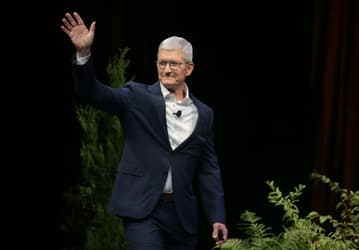 Главу Apple Тима Кука более года преследовала женщина, утверждавшая, что она его жена