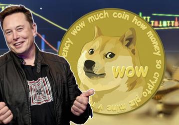 Tesla начала принимать криптовалюту: Илон Маск взвинтил курс Dogecoin на 30%