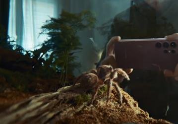 Паук-скакун влюбляется в Samsung Galaxy S22 Ultra под композицию Love Hurts: опубликован рекламный ролик нового флагмана