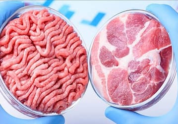 Госрегулятор США разрешил употреблять в пищу «мясо из пробирки»