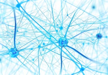 Чтобы нейросеть лучше работала, её научили «спать»