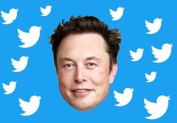 СМИ: Маск думает, не сделать ли Twitter платным для всех пользователей