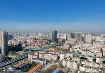 Так снимает 160-мегапиксельная камера Honor 80 Pro