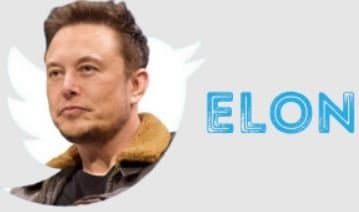 Посвящённая Илону Маску криптовалюта взлетела на 6000% сразу после создания