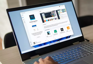 Windows XP всё ещё значительно популярнее Windows 11 по всему миру