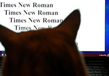Россиянам заблокировали шрифты Times New Roman, Arial, Verdana, Tahoma и Helvetica