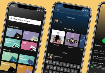 Spotify Premium, Netflix Premium и PornHub ушли в тень: во сколько обойдётся доступ к ушедшим из России сервисам и насколько велик риск нарваться на злоумышленника