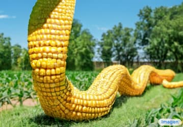 Нейросеть Google Imagen создаёт безумные фотореалистичные изображения по текстовому описанию