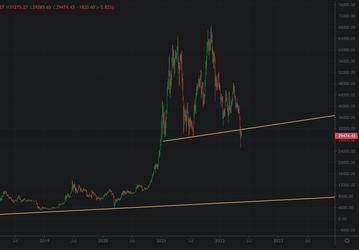 Биткойн упадёт до $8000, а эфир — до $420, по мнению Питера Шиффа и Джона Рока